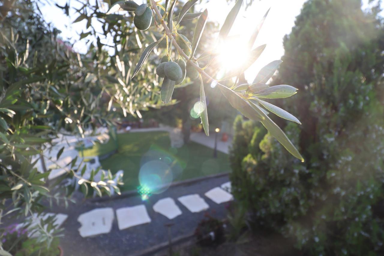 Morad Haharbel - Boutique Resort Dış mekan fotoğraf
